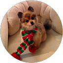 Mary Kelly Mary Kelly